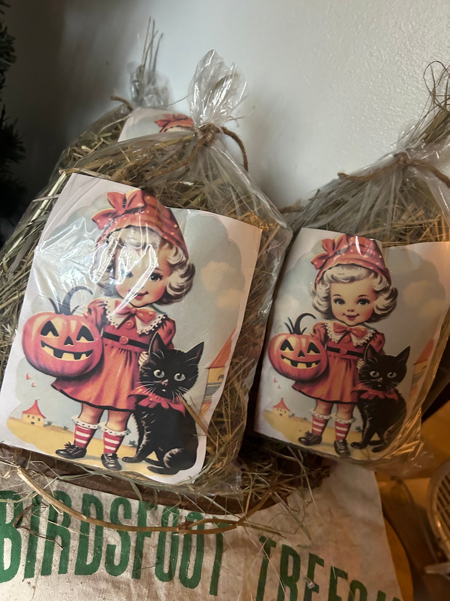 Halloween Girl with kitty Pumpkin Pail Prairie Grass