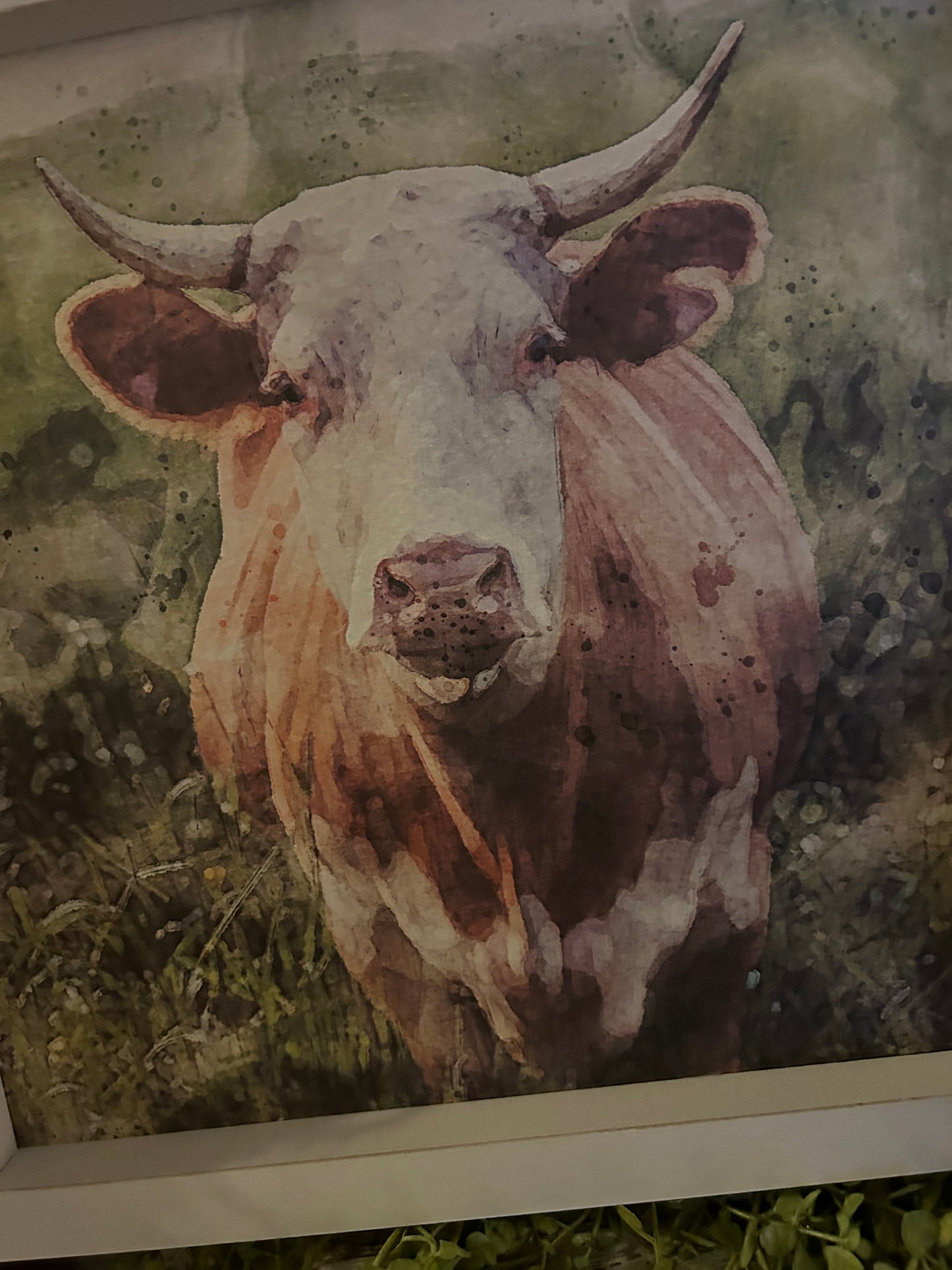 Red Cow Print Rustic White Frame