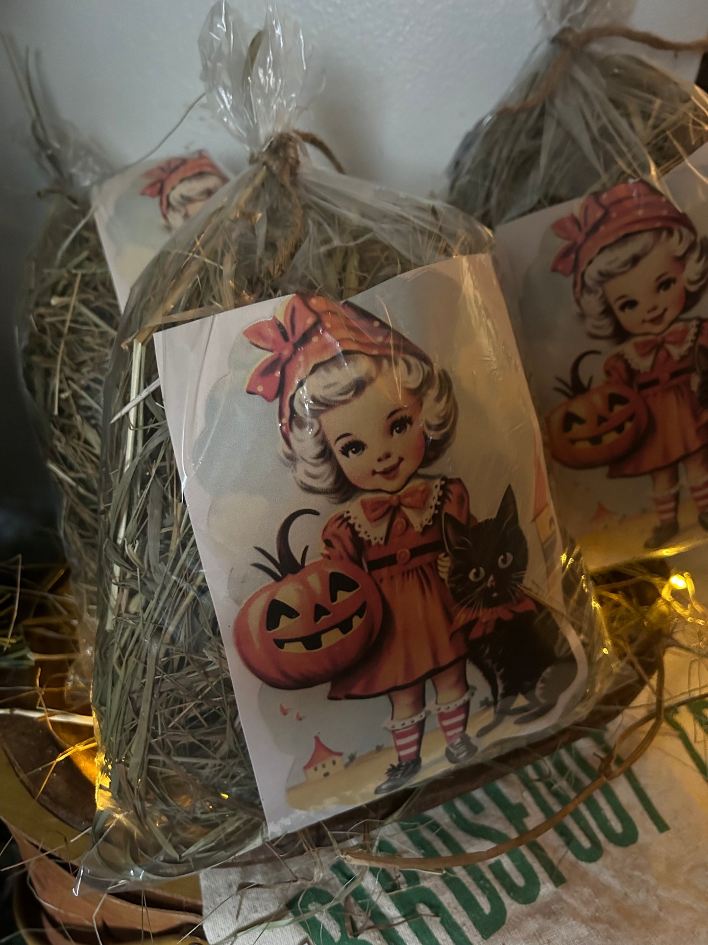 Halloween Girl with kitty Pumpkin Pail Prairie Grass