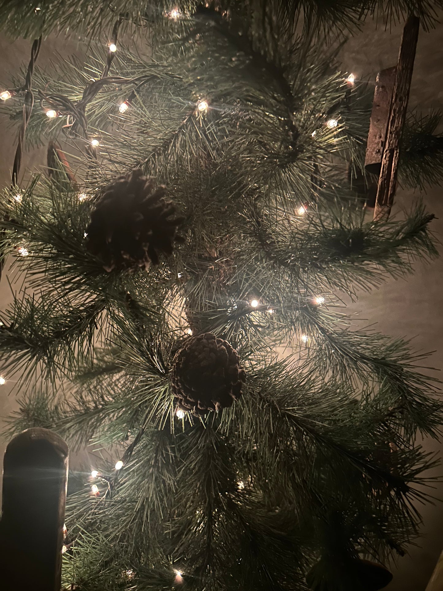 Multi Function Brown Cord Primitive lights