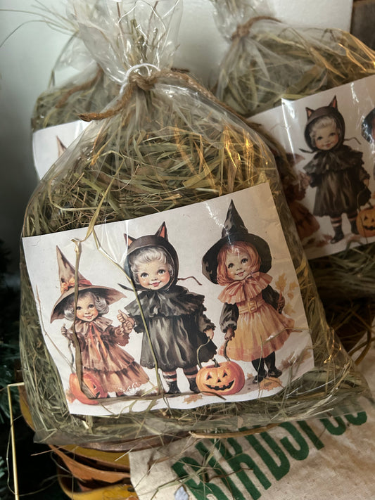 Trick Or Treat Prairie Grass