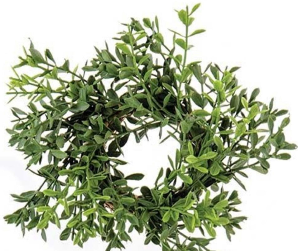 New England Boxwood Candle Ring