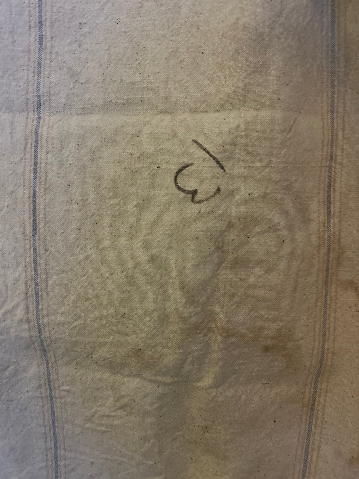 Bemis Seamless A Extra Heavy Cloth Feed Sack Bag Beige/Blue/Black Vintage